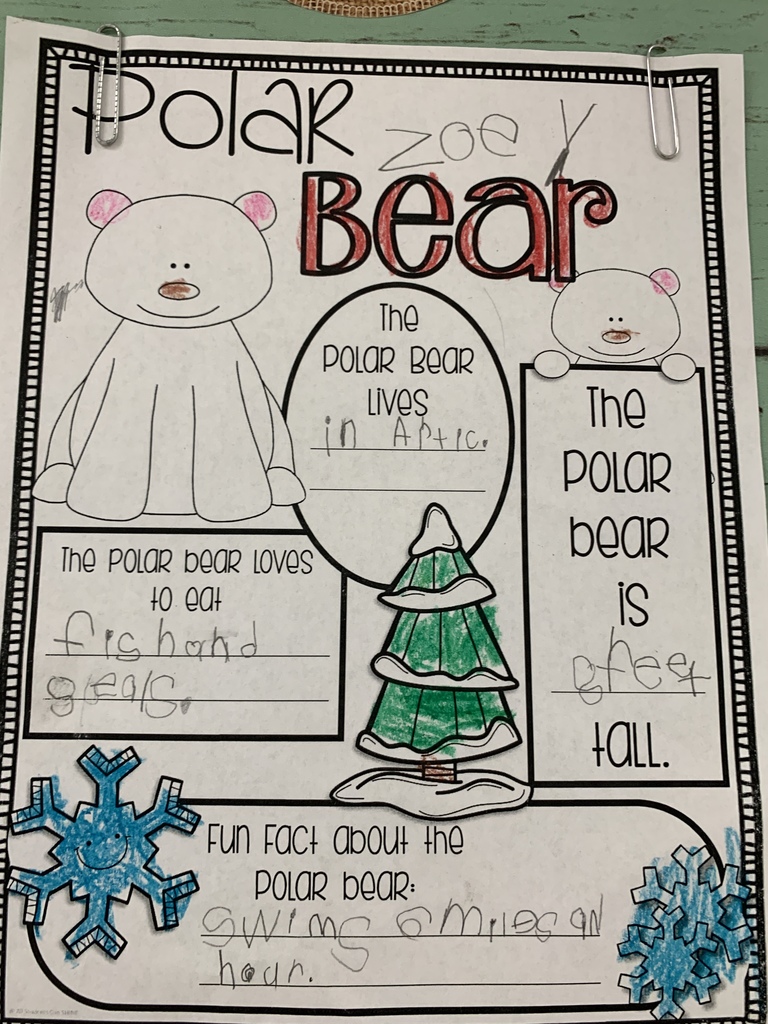 polar bear writing