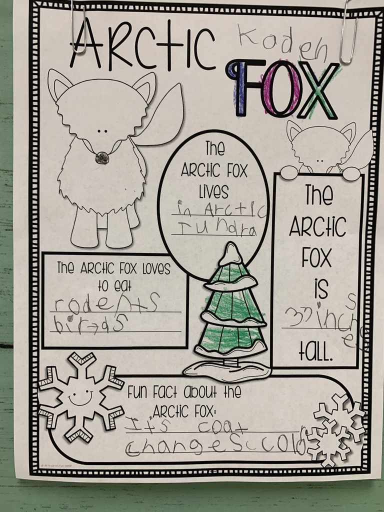 arctic fox writing