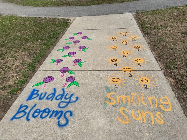 buddy blooms and smiling suns